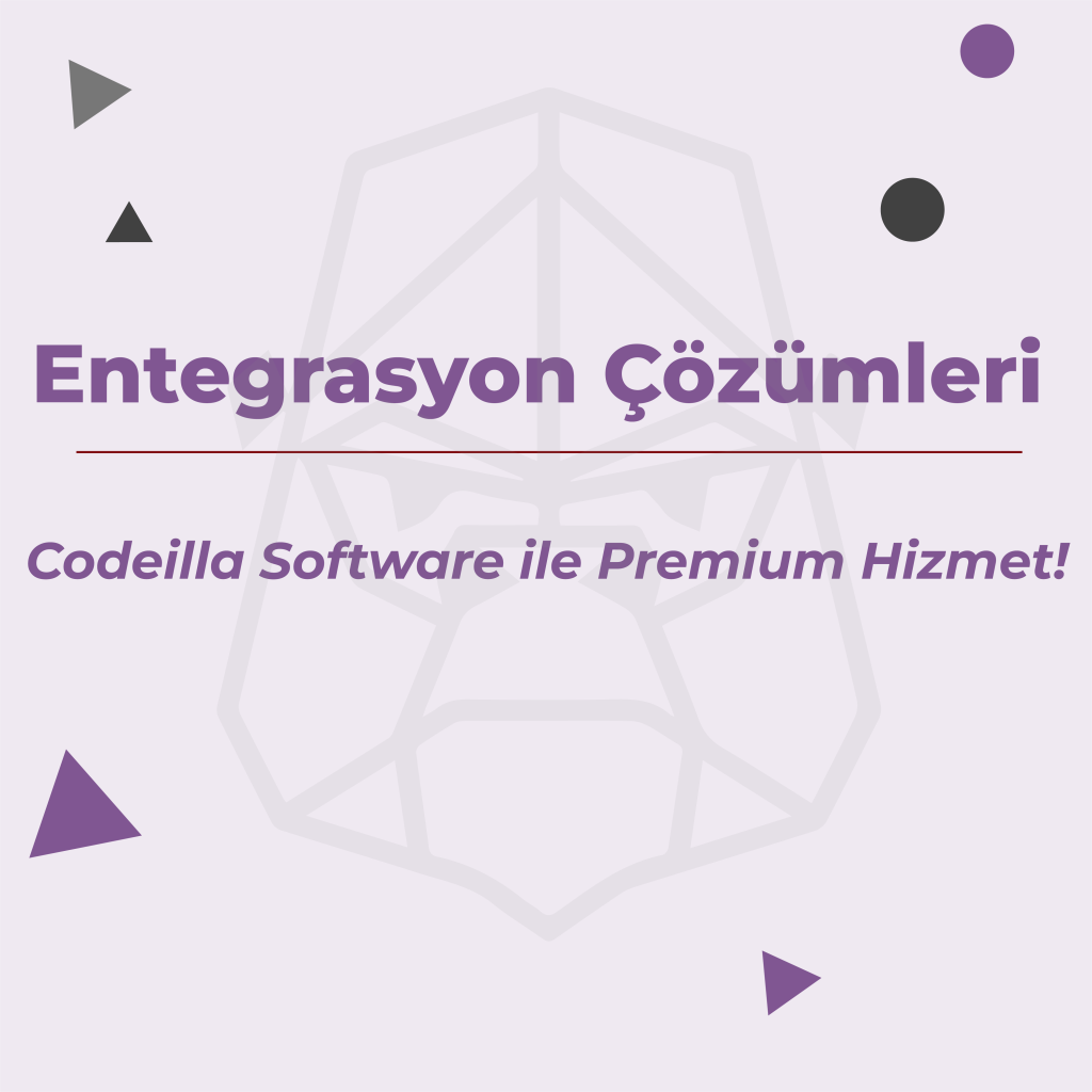 Entegrasyon Çözümleri