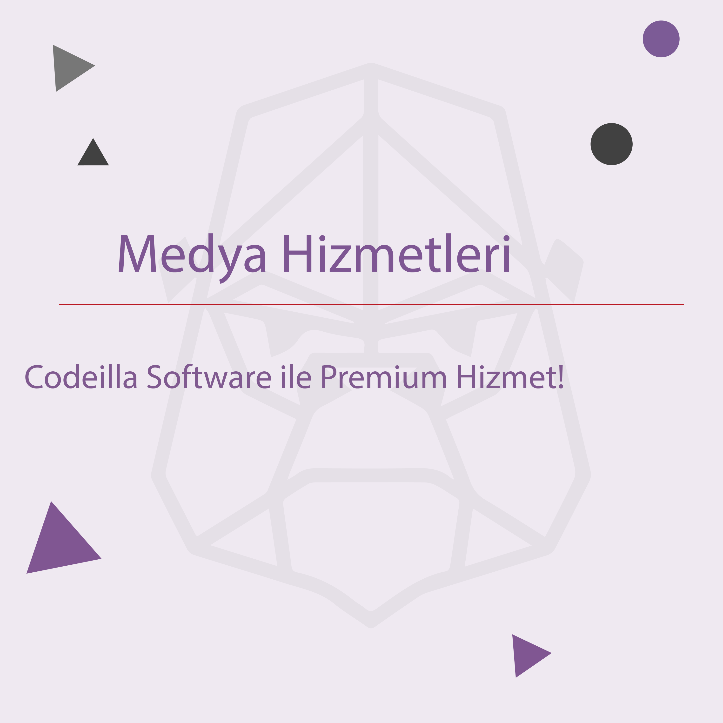Medya Hizmetleri